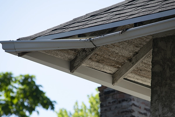 Storm Damage project photo